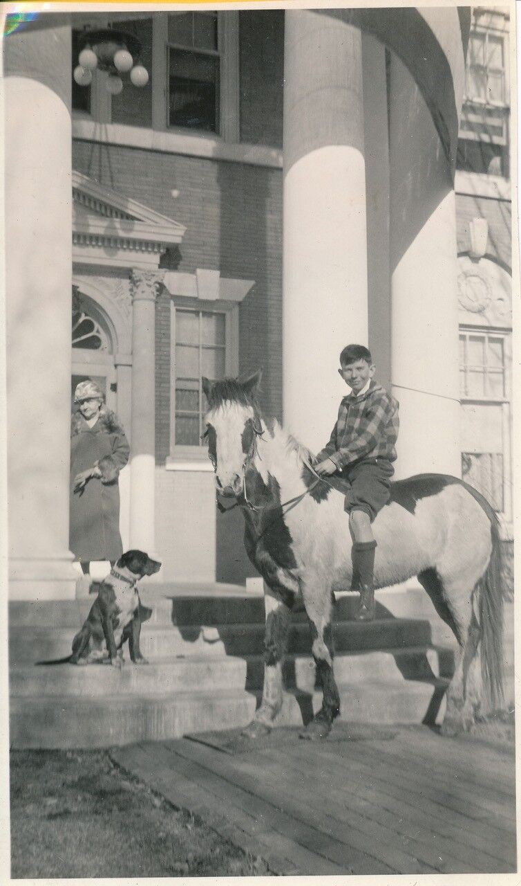 boy on a horse